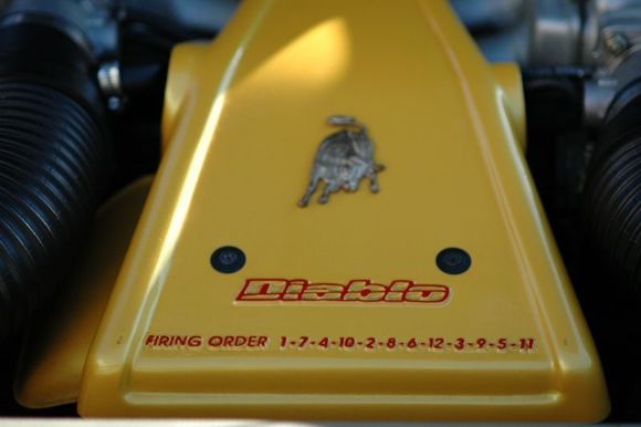 DSC_6916.JPG