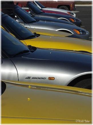 Parking Lot 4.jpg