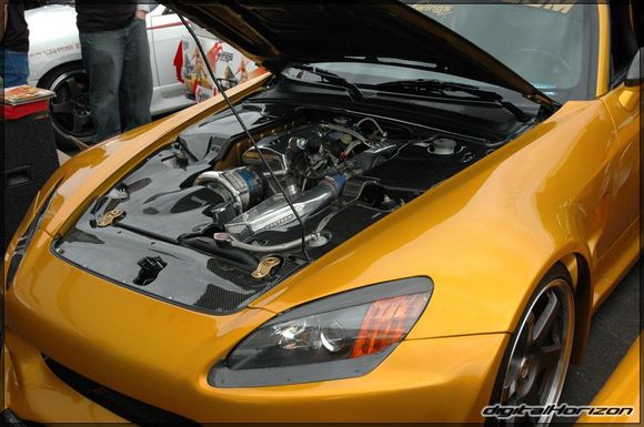 dsc8864a1fr.jpg