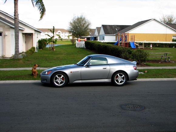 lowered 3.jpg