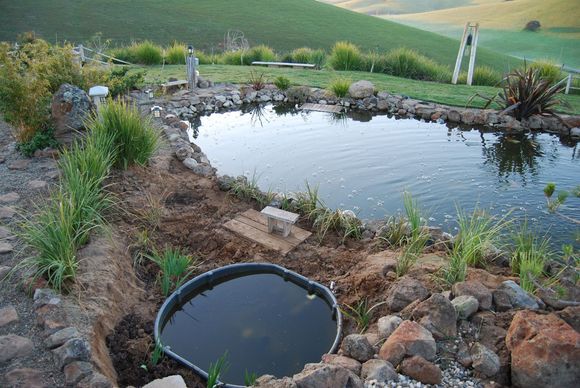 Pond Makeover 2008-03-04_12.JPG
