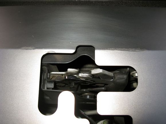 pic5.jpg