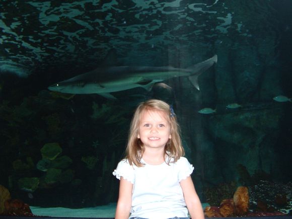 Aquarium 5.jpg