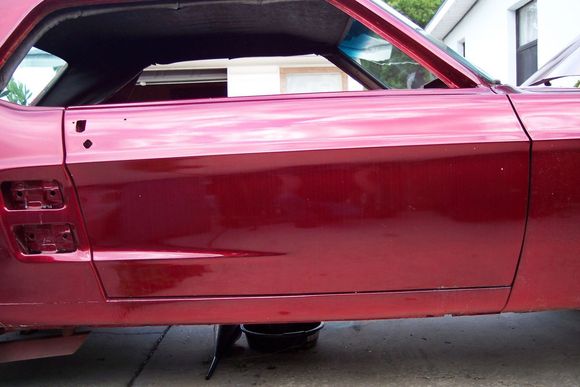 mustang pics 001.JPG