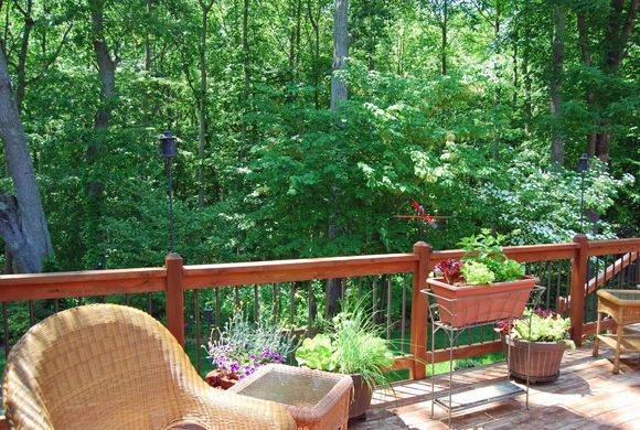 View from Deck.jpg