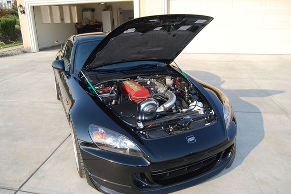 S20002008-07-06_15.JPG