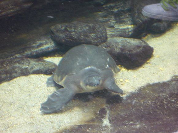 Vacation 2008 159.jpg