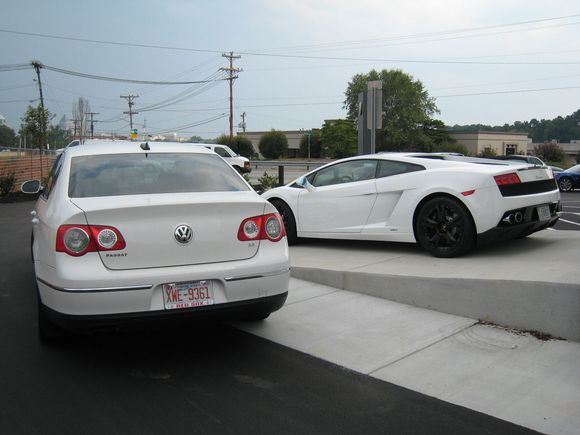 Lambo 8-16-08 051.jpg