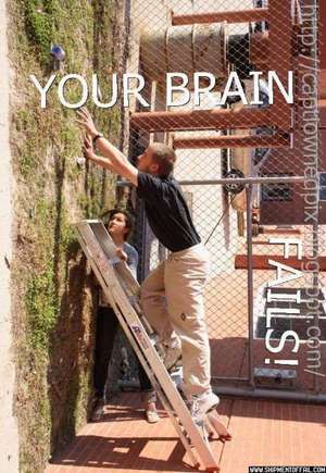brain_is_fail.jpg