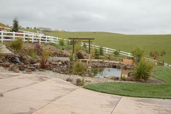 yard 2006.jpg