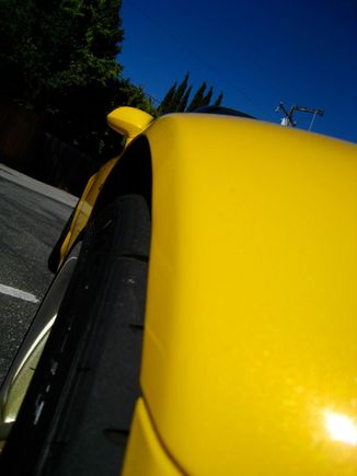 IMG_1019.jpg