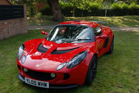 lotus4.jpg