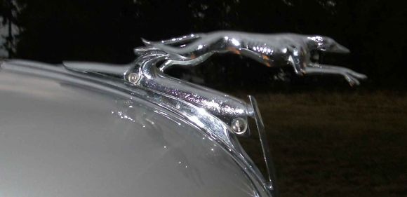 hoodornament.jpg