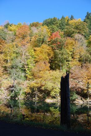 DSC_0039.JPG