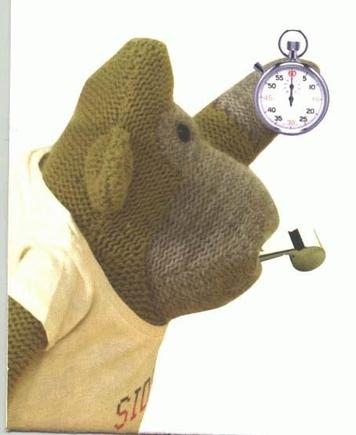 stopwatch monkey.jpg