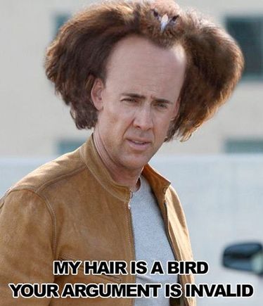 hairisbird.jpg