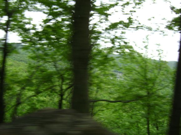 DSC01421.JPG