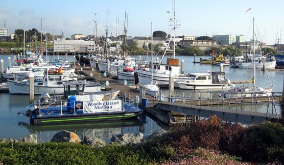 13 harbor.jpg