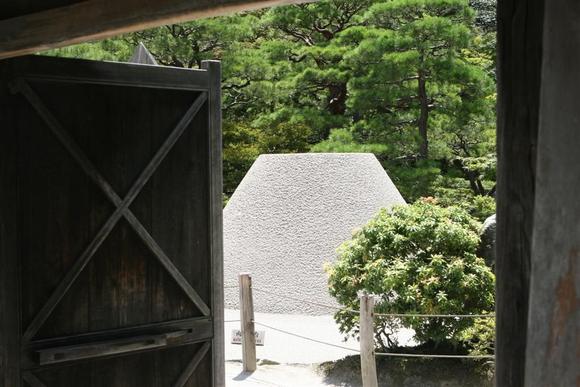 IMG_1220 (Large).JPG