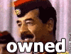 saddam.gif