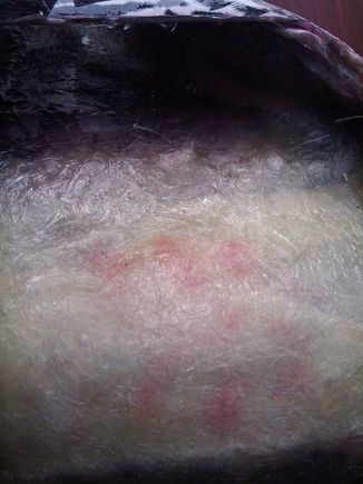 2009-08-29 17.41.54.jpg