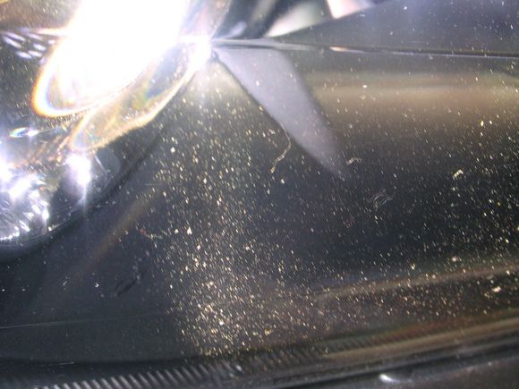 DSCN3503.JPG
