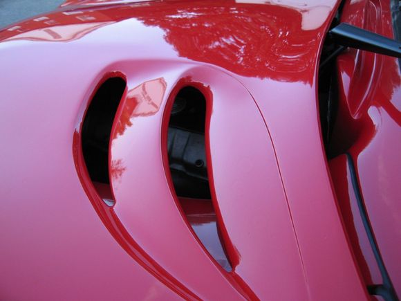 TVR OURS 025.JPG