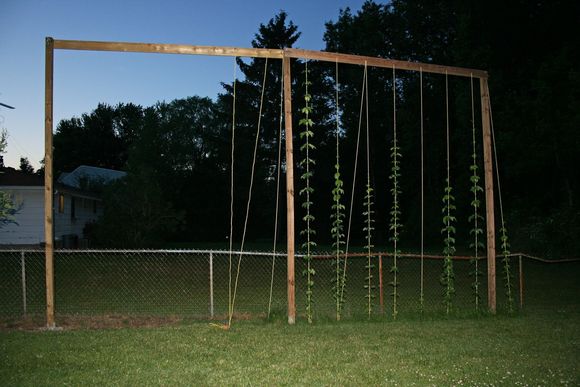 Second side trellis_LR.jpg