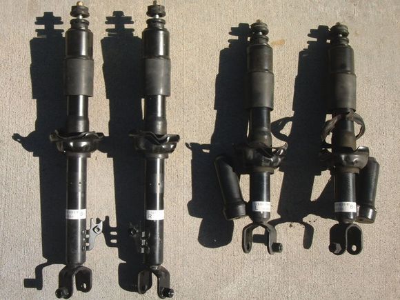 CIMG9099s.jpg