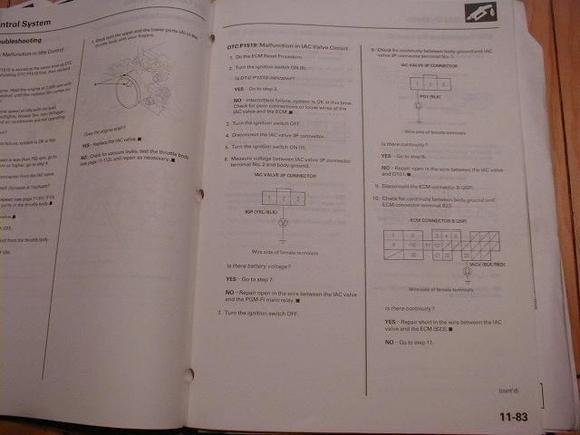 P1100002.JPG