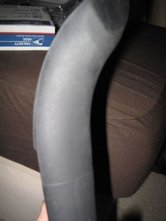 IMG_2392.jpg