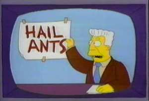 hail-ants.PNG