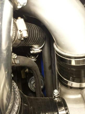 Routing of hoses to intake from BOV and PCV