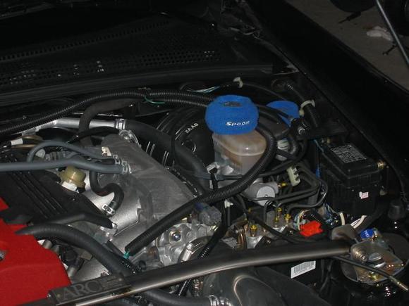 IMG 005.jpg