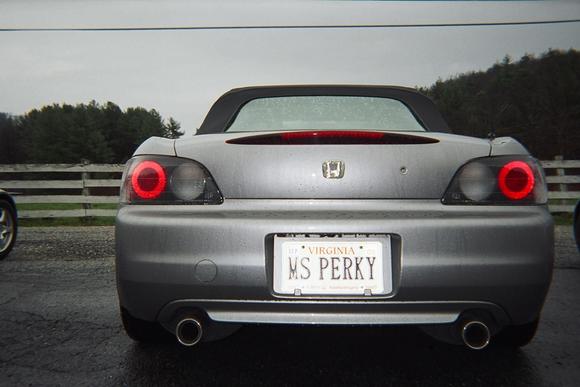 MS PERKY.jpg
