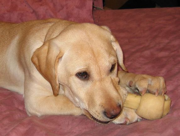 3maggie02-1.jpg