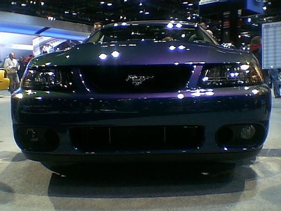 Mystic Cobra.JPG