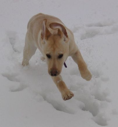 Maggie2-21-3.jpg