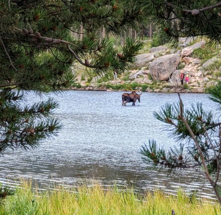 ^8-8-2023.  Sprague Lake in Rocky Mountain National Park, Colorado.

