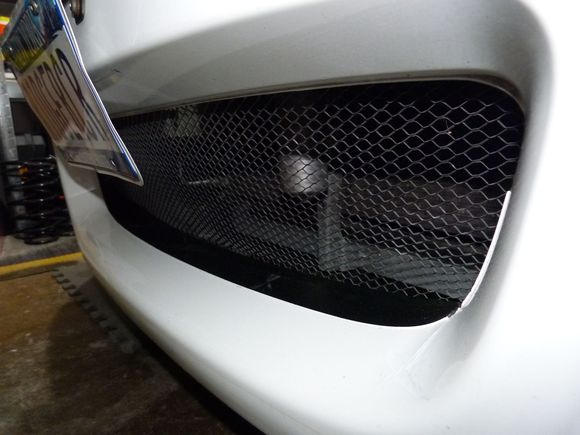mesh grille in bumper