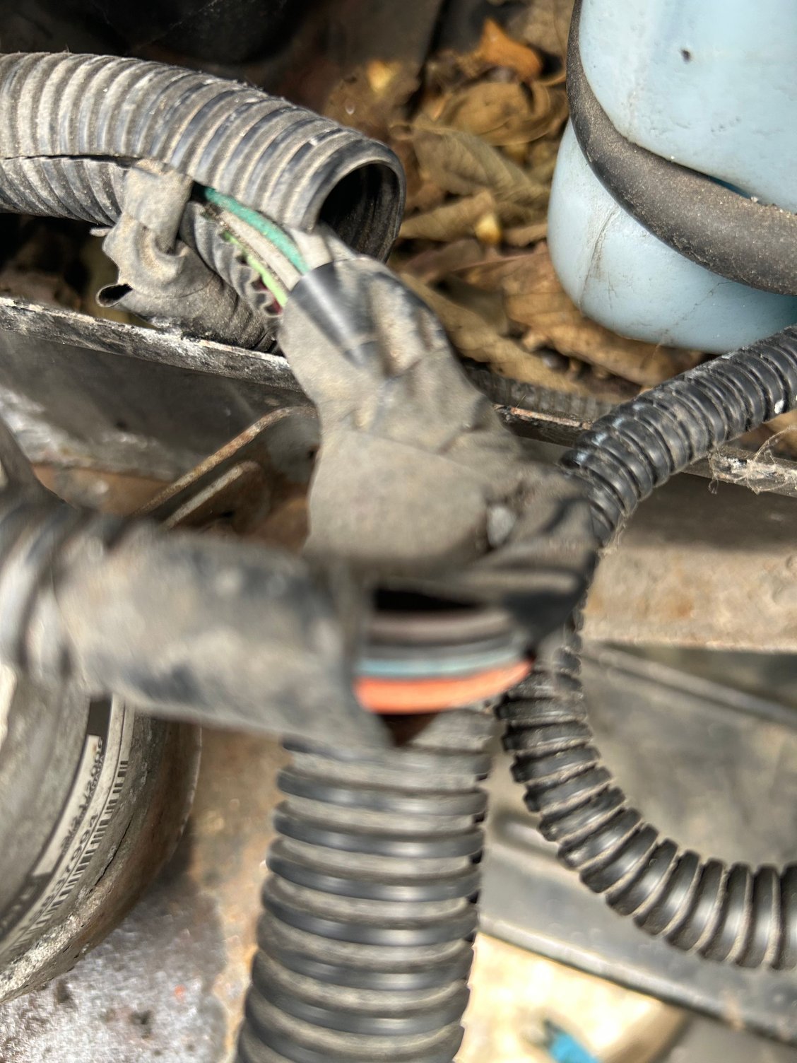 Connection part of headlight wires going into more of the wiring harness behind frame horn going into fuse/relay box 