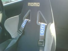Momo seats