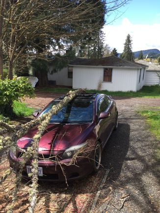 My Scion needs surgery!!