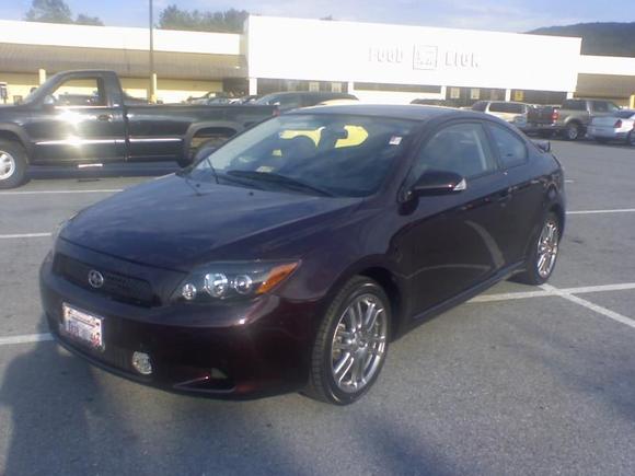 Scion Tc  in the Food Lion Parkin lot