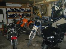 Some of the stable