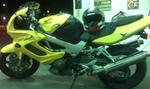 new edition to honda family