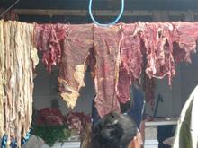 hanging bodyparts2