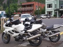 Some dirty 'effin Hawks, Ouray Colorado!