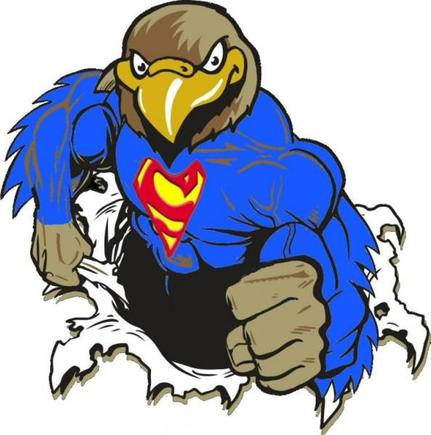 SUPER HAWK PHOTOSHOP