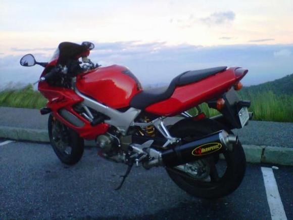 Stella on Pisgah Mtn.